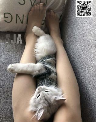 贴身情人之贴身恋
