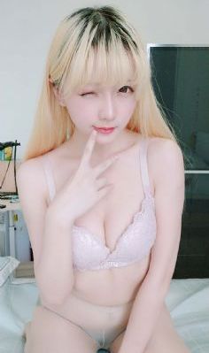 文豪野犬第一季免费高清视频