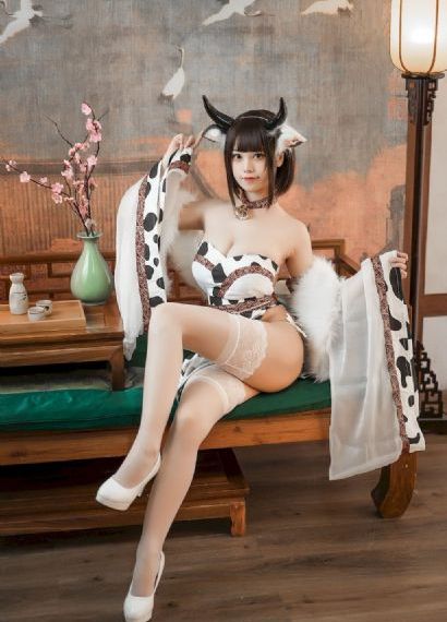 高品格单恋电视剧免费观看