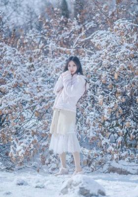 山河同在 电视剧
